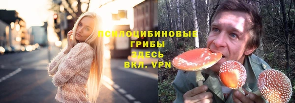 тгк Ельня