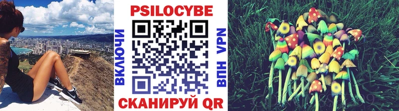 Псилоцибиновые грибы прущие грибы  Фокино 